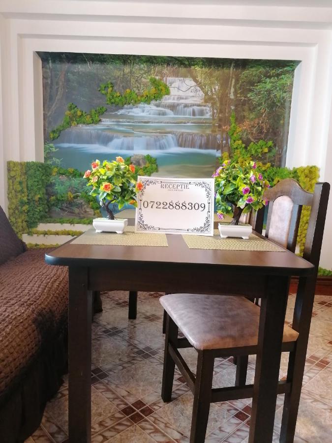 Hotel Casa Poenaru Câmpulung Moldovenesc Esterno foto